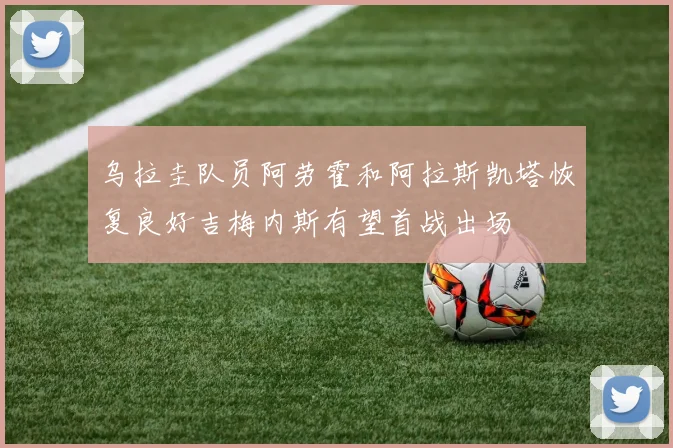 乌拉圭队员阿劳霍和阿拉斯凯塔恢复良好吉梅内斯有望首战出场